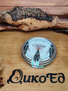 Превью Икра осетра дойная (железная банка) 250 г