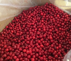 Красника замороженная 500 г