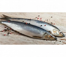 Сельдь Олюторская неразделанная крупная 400+ ( коробка 20кг)