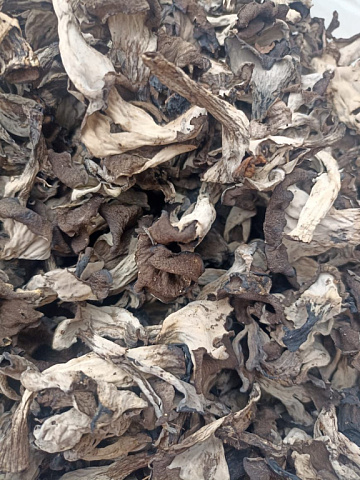 Фото Грибы лисички черные сушеные 30гр