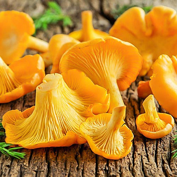 Фото Грибы лисички целые, замороженные 9 кг