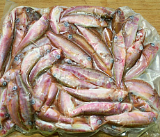 Барабуля черноморская 12+